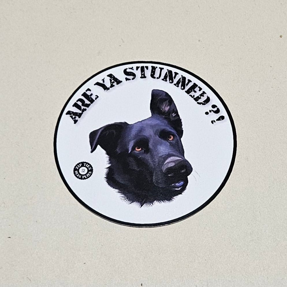Bumper Sticker (Willard)