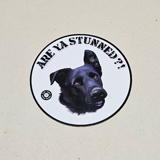 Bumper Sticker (Willard)